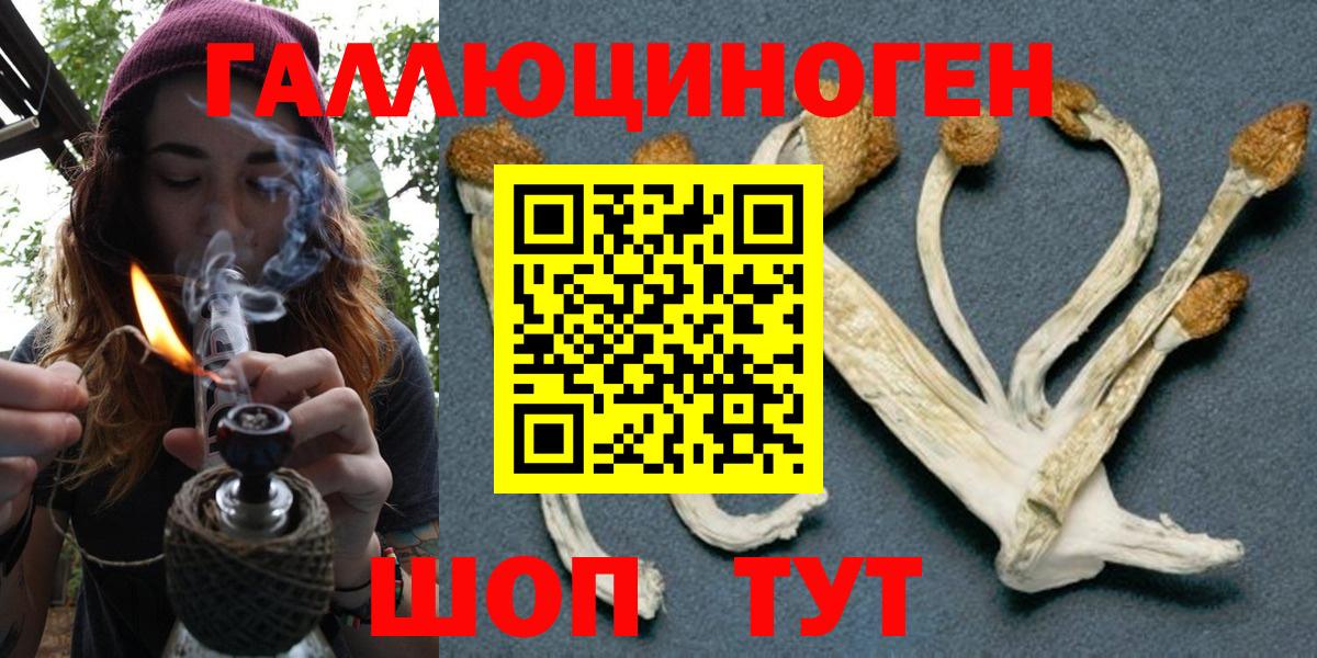 Псилоцибиновые грибы Magic Shrooms  Псилоцибиновые грибы прущие грибы  Вход с VPN  Ухта 